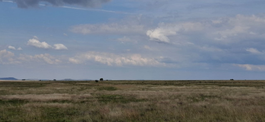 4 Bedroom Property for Sale in Bloemfontein Rural Free State